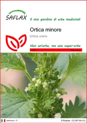 Immagine prodotto di SAFLAX  - Ortica minore - 150 semi - Urtica