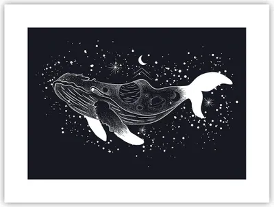 Produktbild von Poster - Poster ohne Rahmen - Wal Schwarzweiß Grafik - 40x30 cm - Wand Bild - Wanddeko - Wandbilder - Kunstposter - Wandposter - Bilder - Kunstdruck - Wanddekoration - Wandbild - P2XAA40x30-4870