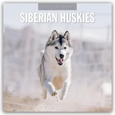 Obrázok produktu pre Sibirské husky – kalendár na rok 2027 (formát 16 mesiacov)