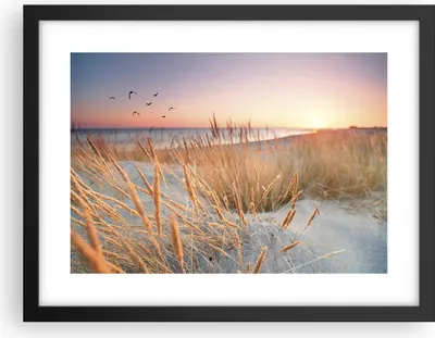 Produktbild von Gerahmtes Poster - Schwarzer Rahmen - Sonne Vögel Sand - 40x30 cm - Wand Bild - Wanddeko - Wandbilder - Kunstposter - Wandposter - Bilderrahmen - Bilder - Kunstdruck - Wanddekoration - P2BAA40x30-4810