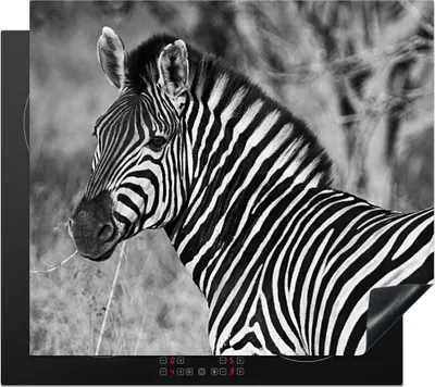 Obrázek produktu pro KitchenYeah® Krycí deska na sporák zebra, 59x52cm, dekorace do kuchyně, keramický kryt varné desky, krycí deska na varnou desku