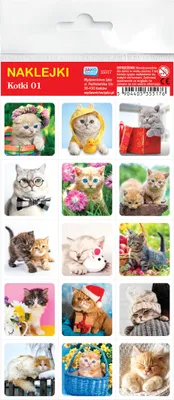 Immagine prodotto di Adesivi decorativi con gattine 01 in confezione blister