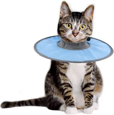 Produktbild von Verstellbarer Genesungskragen für Katzen, wasserdichter Schutzkragen für Katzen, Halskragen für Kätzchen und Welpen nach Operationen, um das Lecken von Wunden zu verhindern (Blau)