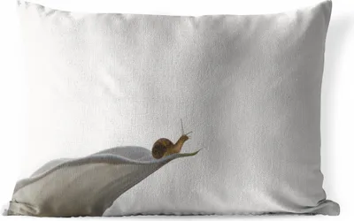Produktbild von MuchoWow® Outdoor Kissen - Schnecke - Lilie - Grau - 60x40 cm - Wetterfest - Lounge Kissen - Zierkissen - Kissen für Innenräume