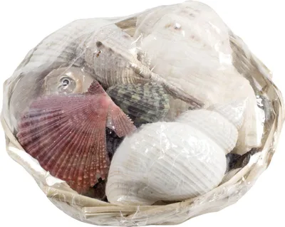 Produktbild von Muschelmix für Dekoration im Körbchen, 14 cm Durchmesser, 350 g Gewicht