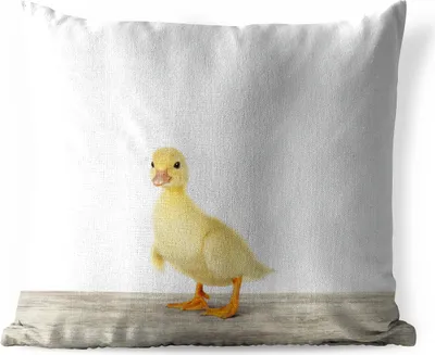Produktbild von MuchoWow® Outdoor Kissen - Ente - Küken - Tiere - Süß - Mädchen - Jungen - Kinder - 45x45 cm - Wetterfest - Lounge Kissen - Fotokissen - Dekoratives Kissen
