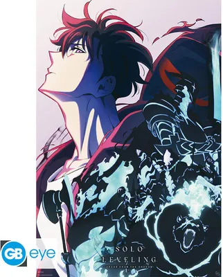 Produktbild von SOLO LEVELING - Poster Maxi 91.5x61 - Season 2
