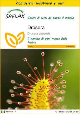 Immagine prodotto di SAFLAX Insieme di coltivazione - Drosera - 200 semi - Drosera