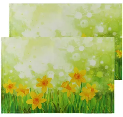Produktbild von Tischsets Textil CLOTH Osterglocken Blumen 2er Set 45x30 cm
