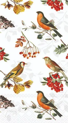 Image de Serviettes d'automne 30x40 cm 3 plis Oiseaux sur branches