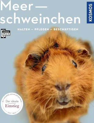 Produktbild von Meerschweinchen