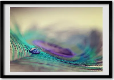 Produktbild von Bild - Bilderrahmen - 100 cm x 70 cm - MDF - Rahmen - Foto - Wandkunst Lassen Sie die piórku