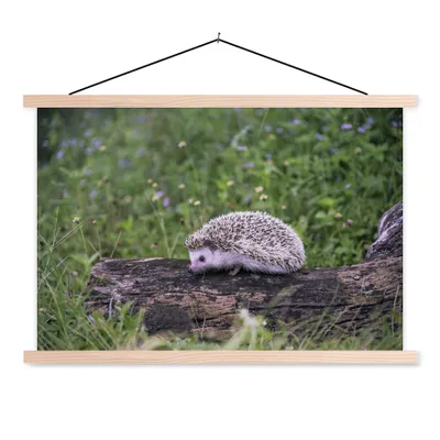 Produktbild von MuchoWow® Textilposter Igel auf Baumstumpf 120x80 cm mit holzfarbenen Rahmen - Aufhängeset