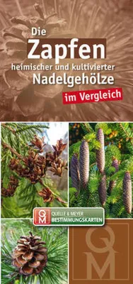 Produktbild von Die Zapfen heimischer und kultivierter Nadelgehölze im Vergleich