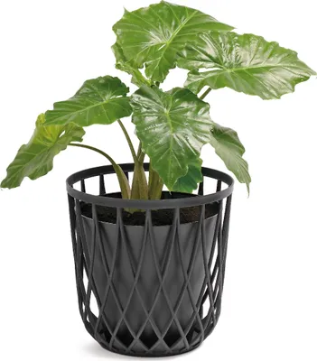 Obrázok produktu pre NABBI Plastový univerzálny kôš IKUB55 55 l - biela