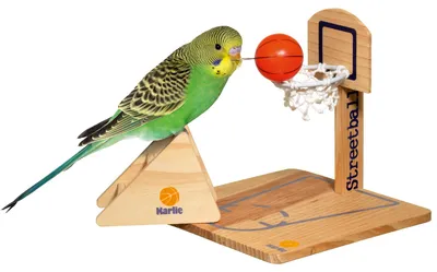 Image de Jouet Oiseau Netball20 X 20 X 20 Cm