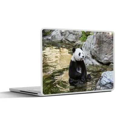 Produktbild von MuchoWow® Laptop Aufkleber Sticker Cover Panda - Fluss - Stein 30x22 cm - Laptop-Sticker