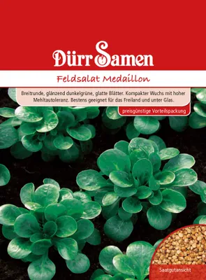 Produktbild von Feldsalat Medaillon | Feldsalatsamen von Dürr Samen