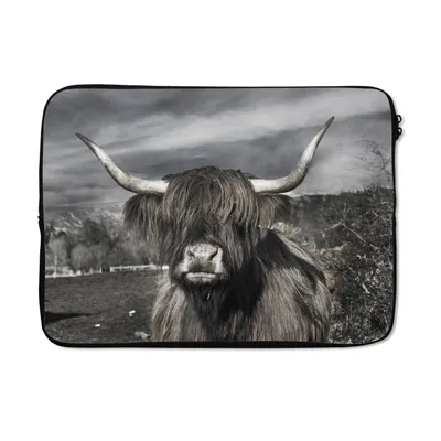 Produktbild von MuchoWow® Laptop Hülle 13 Zoll Schottischer Highlander - Tiere - Hörner Laptoptasche - Laptophülle - Sleeve - Rundumschutz