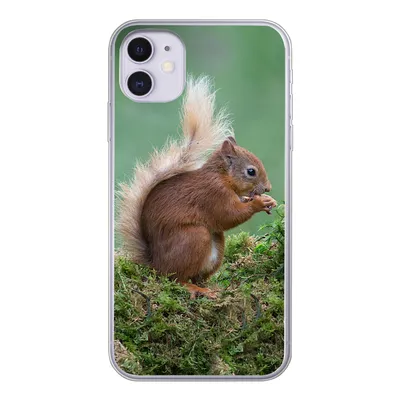Produktbild von MuchoWow® Handyhülle Schutzhülle Hülle für iPhone 11 Eichhörnchen - Wald - Moos Silikon Softcase Handy Hülle - Handytasche