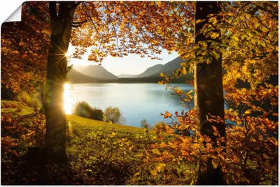 Produktbild von ARTland Poster Herbst am Sylvensteinsee Größe: 90x60 cm