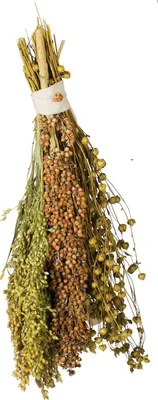 Obrázok produktu pre JR FARM Pick & Fly - Hryzátko pre papagáje 130g prírodný snack