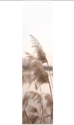 Produktbild von Schiebegardine Digitaldruck Trawy natur 60x245 cm
