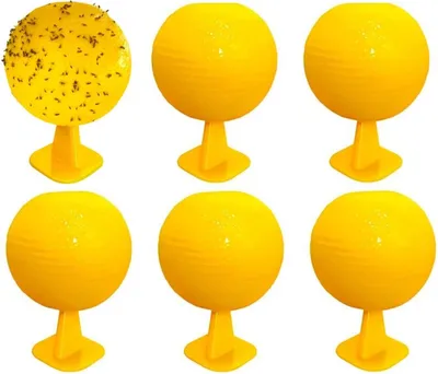 Produktbild von OKWISH Fliegenklatschen, Fruchtfliegenfalle 6er Set, Effektive Obstfliegenfalle für Küche, Obstschale und Haushalt, Einfach zu verwenden, Schutz vor Fruchtfliegenbefall