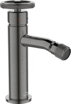 Obrázek produktu pro Designová bidetová armatura vertikální se zátkou grafitová