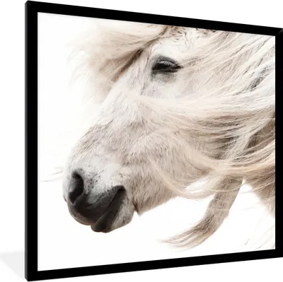 Produktbild von MuchoWow® Gerahmtes Poster Pferd - Mähne - Weiß 40x40 cm - Poster mit Schwarzem Bilderrahmen Wandposter Rahmen Foto Bilder - Mit Rahmen - Wanddekoration Schlafzimmer
