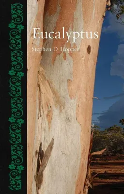 Produktbild von Eucalyptus