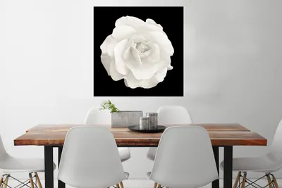 Produktbild von MuchoWow® Poster Rosa - Schwarz - Weiß 75x75 cm - Wand Dekoration