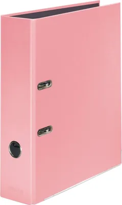 Obrázek produktu pro Originální složky Falken v balení 10 ks PastelColour. Vyrobeno v Německu. šířka 8 cm DIN A4 Pastelová barva Flamingo růžová Kroužkový pořadač Složka na dopisy Kancelářský pořadač Plastový pořadač Složka s motivy
