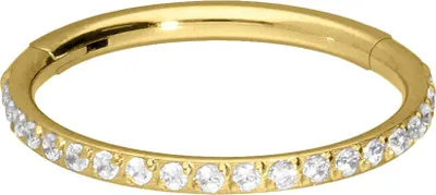 Produktbild von Ohrpiercing, Nasenpiercing, Septum Piercing Titan Segmentring Clicker EINGEFASSTE KRISTALLE Gold Innendurchmesser: 6mm + Stabstärke: 1mm