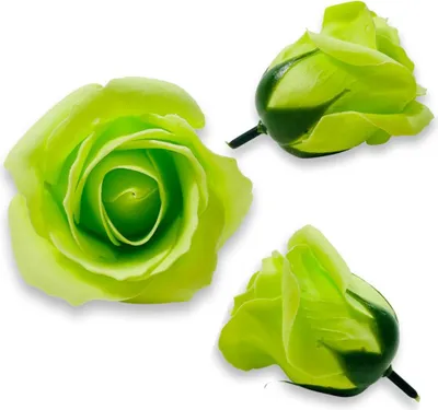 Produktbild von Hellgrüne Seifenrose