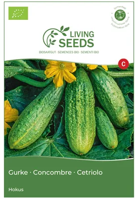 Produktbild von Gurke Hokus 5.05g Saatgut von Living Seeds