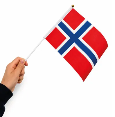 Norwegische Handfahnen 10er-Pack, 21x14 cm, mit Stab