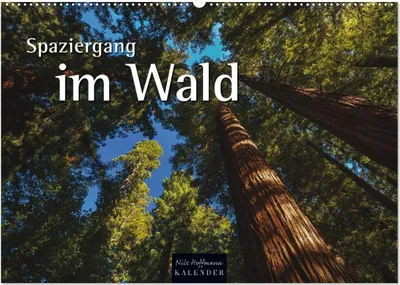 Produktbild von Spaziergang im Wald (Wandkalender 2025 DIN A2 quer), CALVENDO Monatskalender