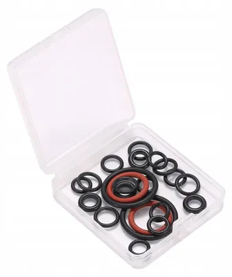 Reparatieset für Dampfreiniger – 22 O-Ringe, kompatibel mit SC3/SC4/SC5
