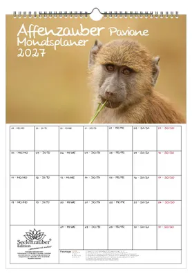 Produktbild von Pavianzauber Planer DIN A3 Kalender für 2027 Affen - Seelenzauber
