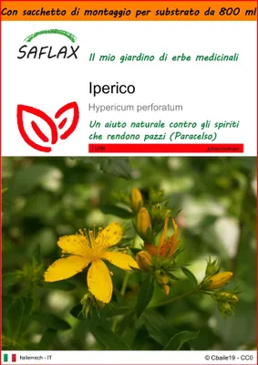 Immagine prodotto di SAFLAX Garden in the bag - Iperico - 300 semi - Hypericum