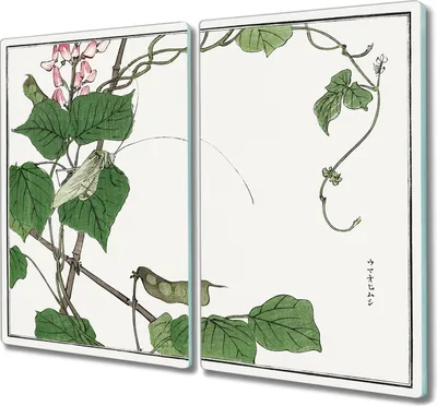 Produktbild von Coloray Schneidebrett Herdabdeckplatte 2x30x52 cm Kochplattenabdeckung Hackbrett Küchenbrett - Blätter Blumen Insekten