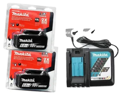 Immagine prodotto di Batterie ricaricabili, capacità di 6000 mAh, dotate di caratteristiche di sicurezza, caricabatterie da 6,0 Ah x 2