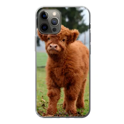 Produktbild von MuchoWow® Handyhülle Schutzhülle Hülle für iPhone 12 Pro Scottish Highlander - Kalb - Gras Silikon Softcase Handy Hülle - Abdeckung