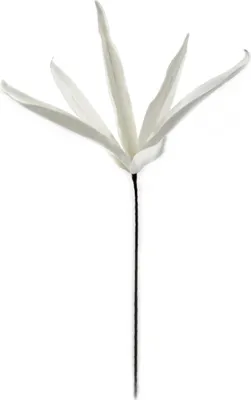 Produktbild von Kunstblume 100cm Schilf in weiß 1 Stück