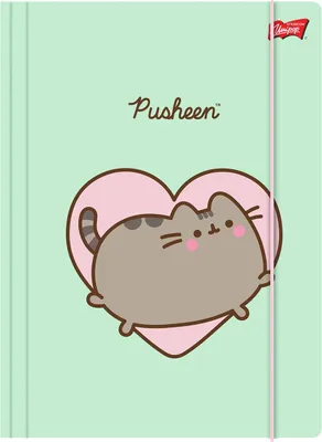 Obrázek produktu pro A4 Složka Pusheen v4 Majewski s gumičkou