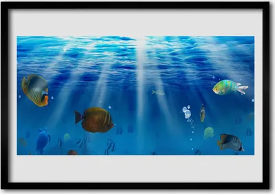 Produktbild von Bild 70x50 MDF-Rahmen Wandkunst Fisch Natur
