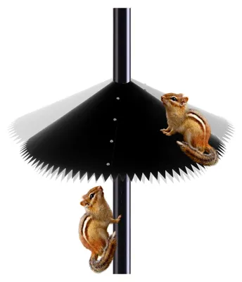 Produktbild von Eichhörnchensichere Vogelfutterstation