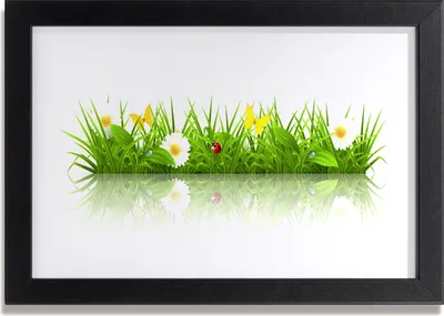 Produktbild von Bild 30x20 MDF-Rahmen Wandkunst Gras Natur Pflanze