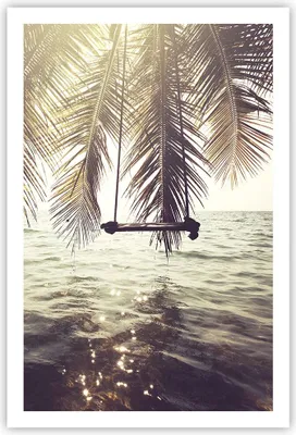 Produktbild von Poster - Poster ohne Rahmen - Meer Palme Wasser - 61x91,5 cm - Wand Bild - Wanddeko - Wandbilder - Kunstposter - Wandposter - Bilder - Kunstdruck - Wanddekoration - Wandbild - P2XPA61x91-3634